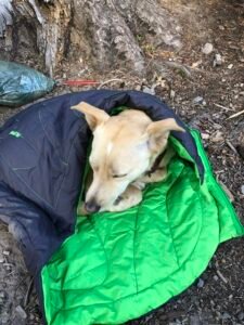 Sleeping Bag