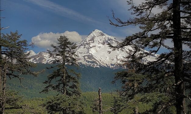 Lolo Pass to Cascade Locks – 32 miles on the PCT