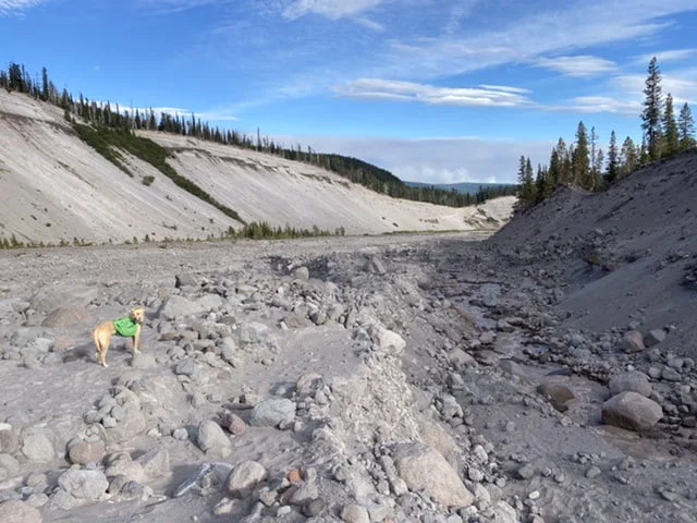 Base of White Canyon