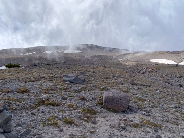 Wind on Gnarl Ridge