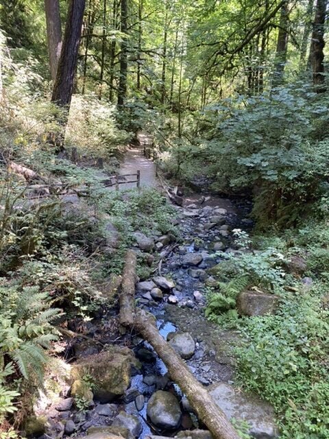 Wildwood Trail