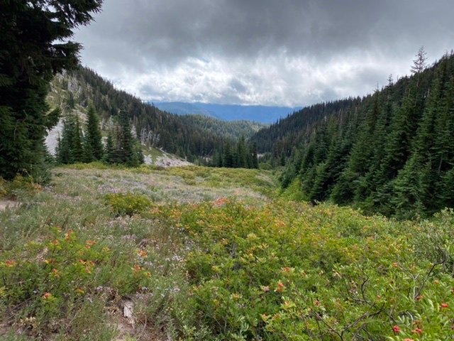 Into Heather Canyon