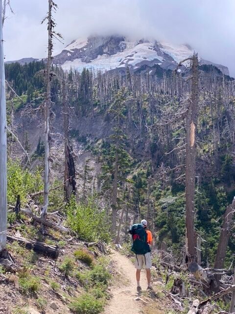 Descending towards the Eliot