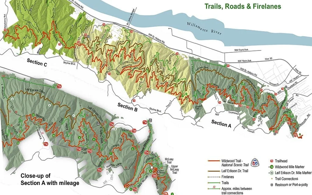 Forest Park – a quick hike, not in the mountains