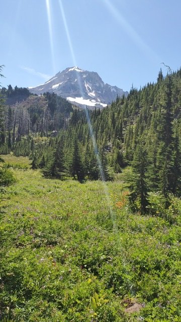 Timberline Trail – An awesome hike around Mount Hood!