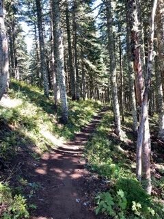 Timberline Trail Clockwise