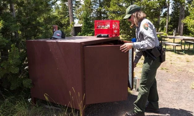 Useful resources for JMT hike – bear boxes, rivers and snow!