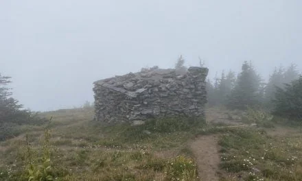 Top Spur to McNeil Point – but Mount Hood shrouded by clouds