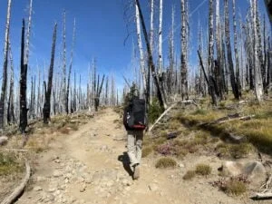 Mt. Adams lower trail