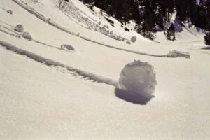 Snow Roller
