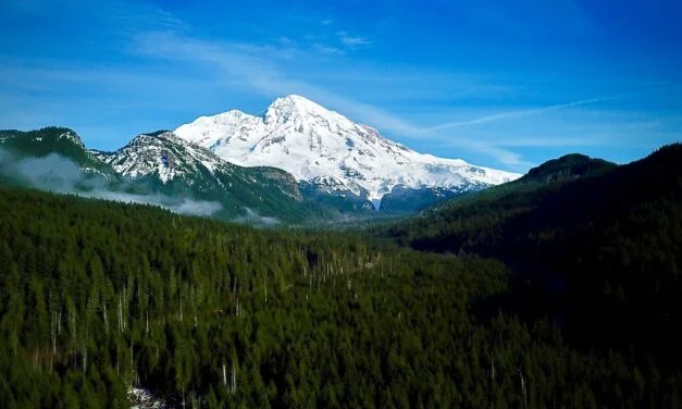 Hiking Plans For 2022 – Wonderland Trail or PCT?
