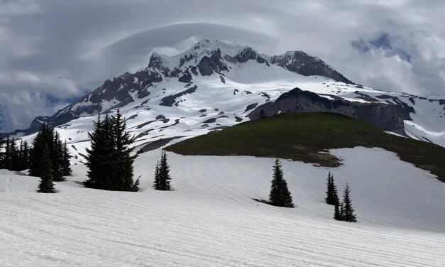 Paradise Park Trail – Mount Hood – Revisited (2022)