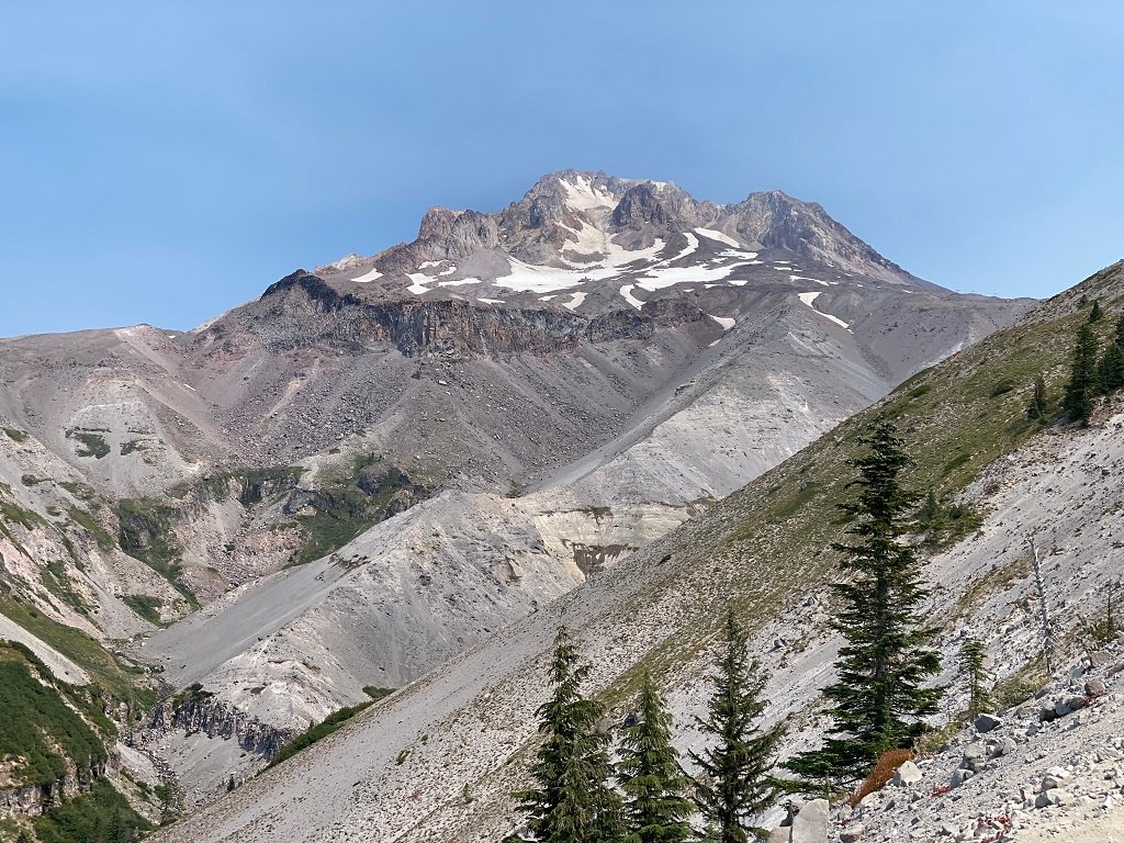 Paradise park from 2024 timberline lodge hike