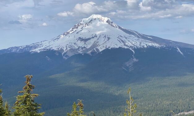 Fifth Annual Timberline Trail Survey – 2026