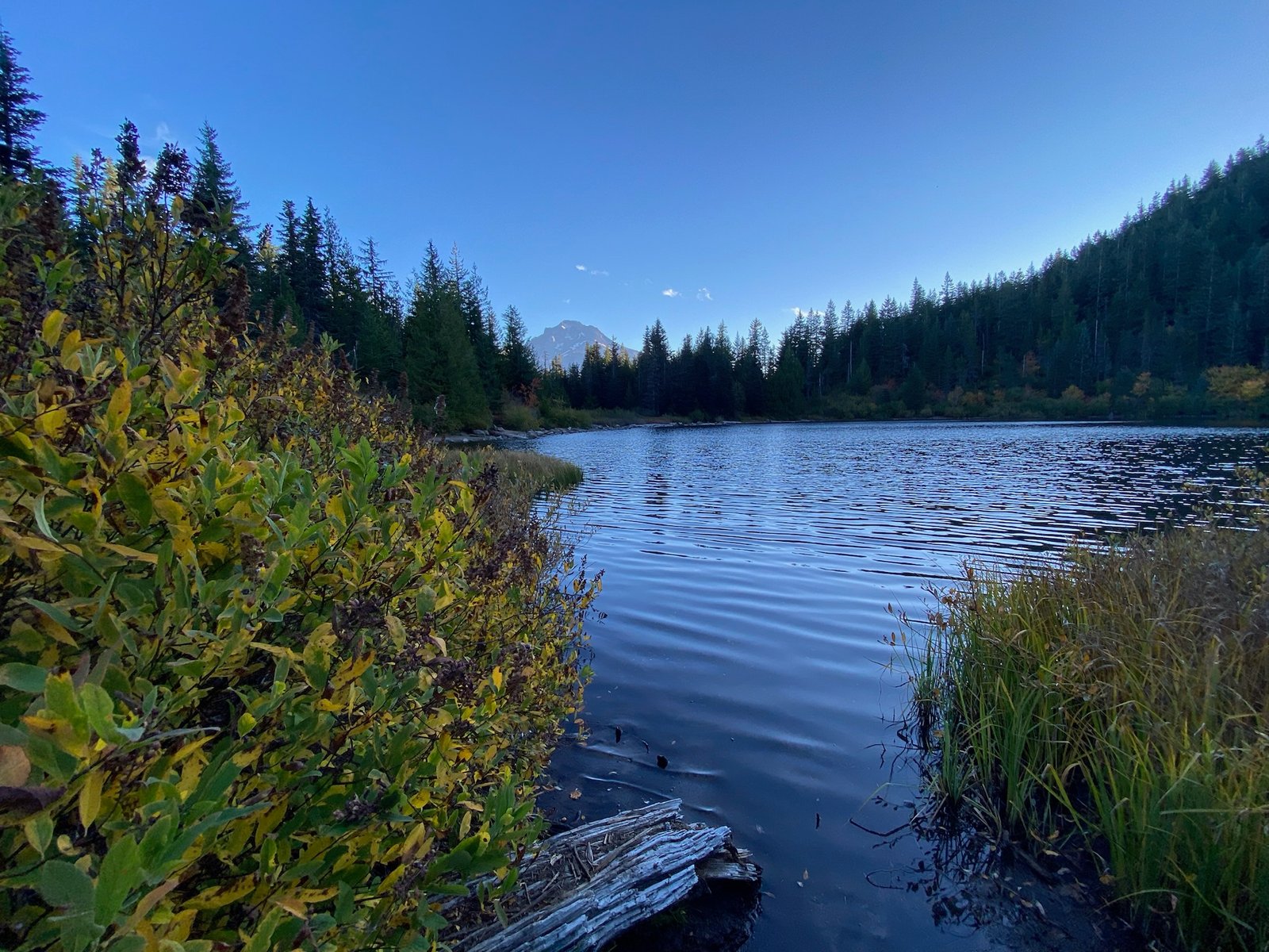 Mirror Lake ruffled by wind on an October morning, with autumn colours on the shore and Mount Hood in the distance