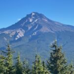 Tom Dick and Harry in October: Fireweed, a Mystery Cairn and a Rather Bare Mountain