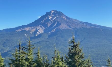 Tom Dick and Harry in October: Fireweed, a Mystery Cairn and a Rather Bare Mountain
