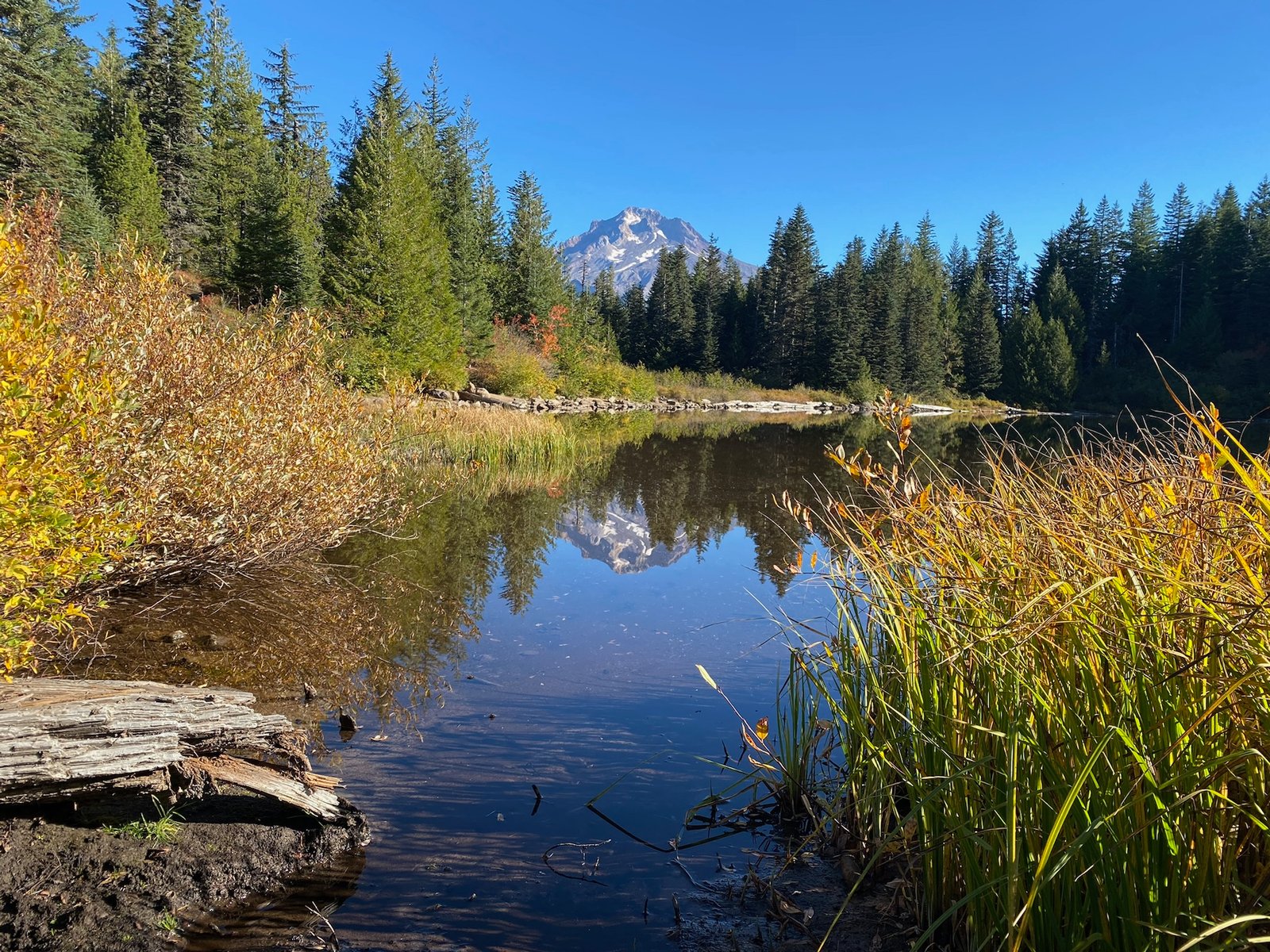 Mirror Lake perfectly still with a clear reflection of Mount Hood, framed by golden autumn grasses