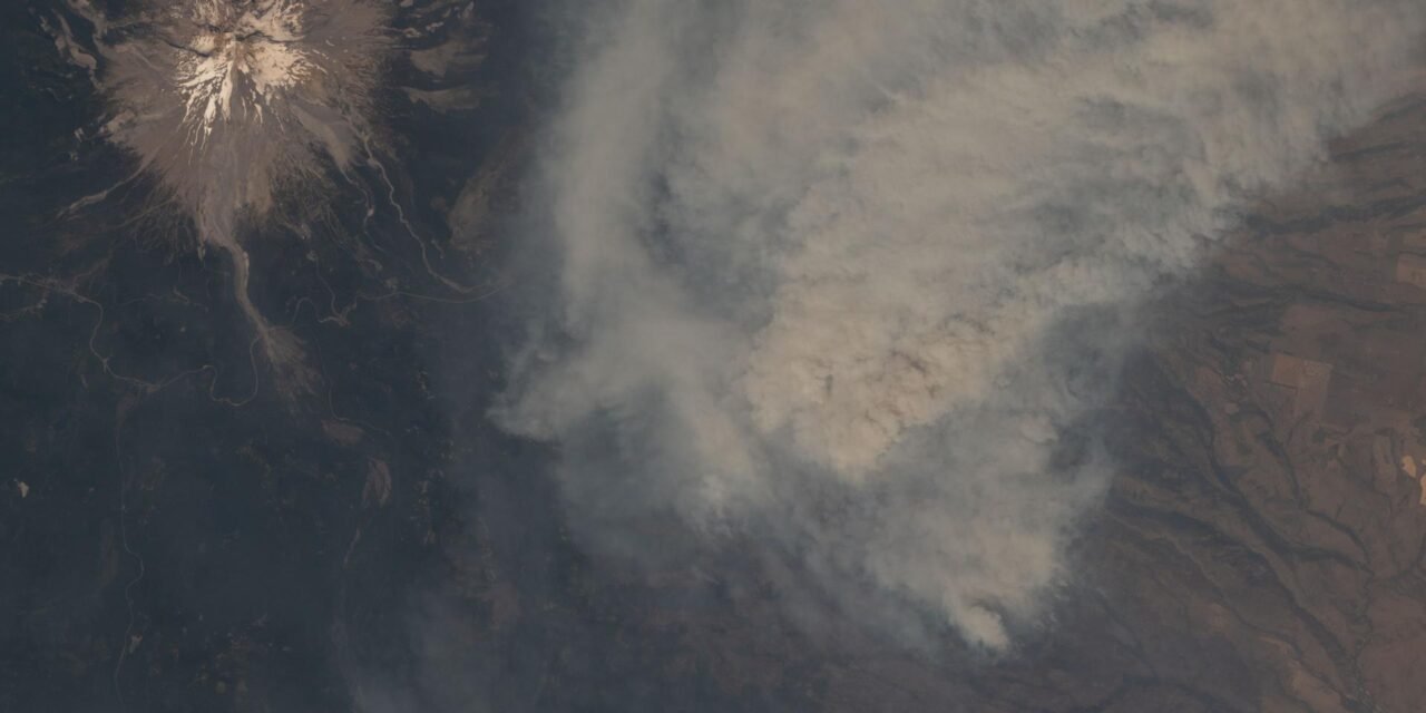 The Grasshopper Fire: How One Lightning Strike Reshaped Mount Hood’s East Side