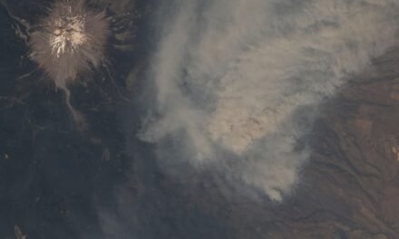 The Grasshopper Fire: How One Lightning Strike Reshaped Mount Hood’s East Side