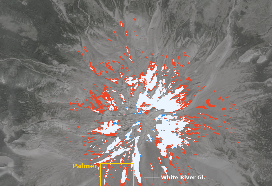Is the Palmer Snowfield Really Gone? What the Satellites Show