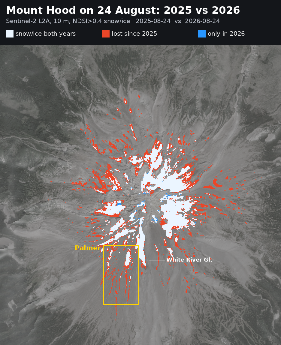 Satellite difference map of Mount Hood comparing snow and ice on 24 August 2025 and 24 August 2026, with most of the lower Palmer snowfield shown in red as lost